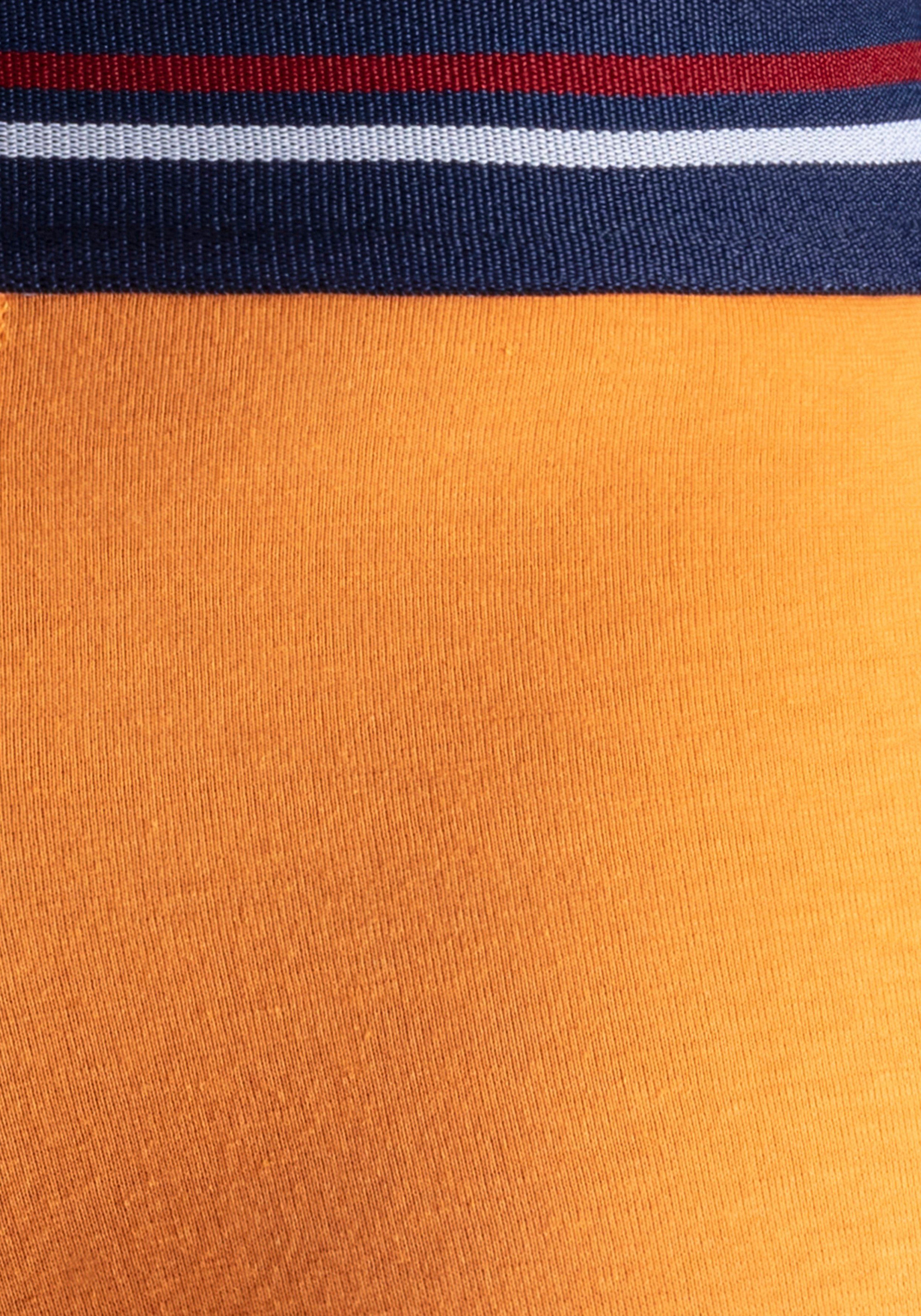 H.I.S Boxershort voor heren met strepen en logo in de band (set, 5 stuks)